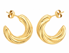Curve Appeal Earring