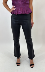 Midnight Luxe Bootcut