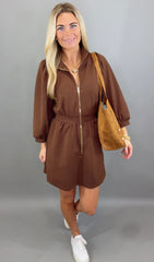 City Stroll Dress (brown)