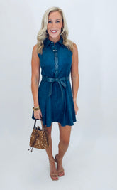 Sure Thing Dress (navy)
