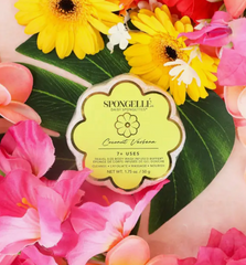 Coconut Verbena Daisy Spongette