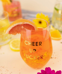 Cheer Up Fucker Wine Glass