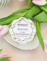 Sego Lily Elevation Spongette