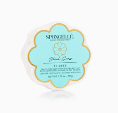 Beach Grass Daisy Spongette