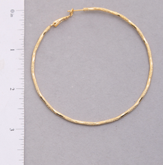 Textured Shine Hoop Earring