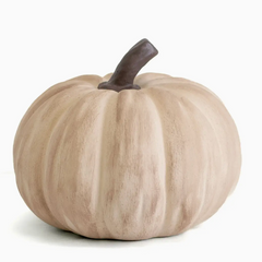 Rustic Harvest Pumpkin