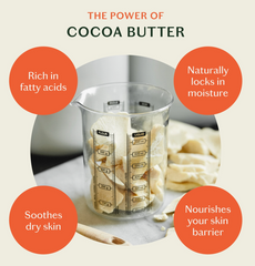 Daily Stone | Lotion Bar Starter Kit