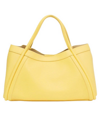 Sunlit Style Tote