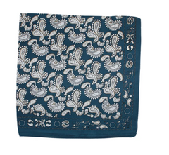 Harbor Paisley Scarf