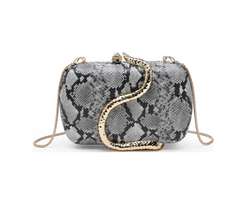 Slither in Style Clutch