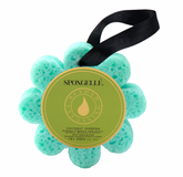 Coconut Verbena Wild Flower Sponge