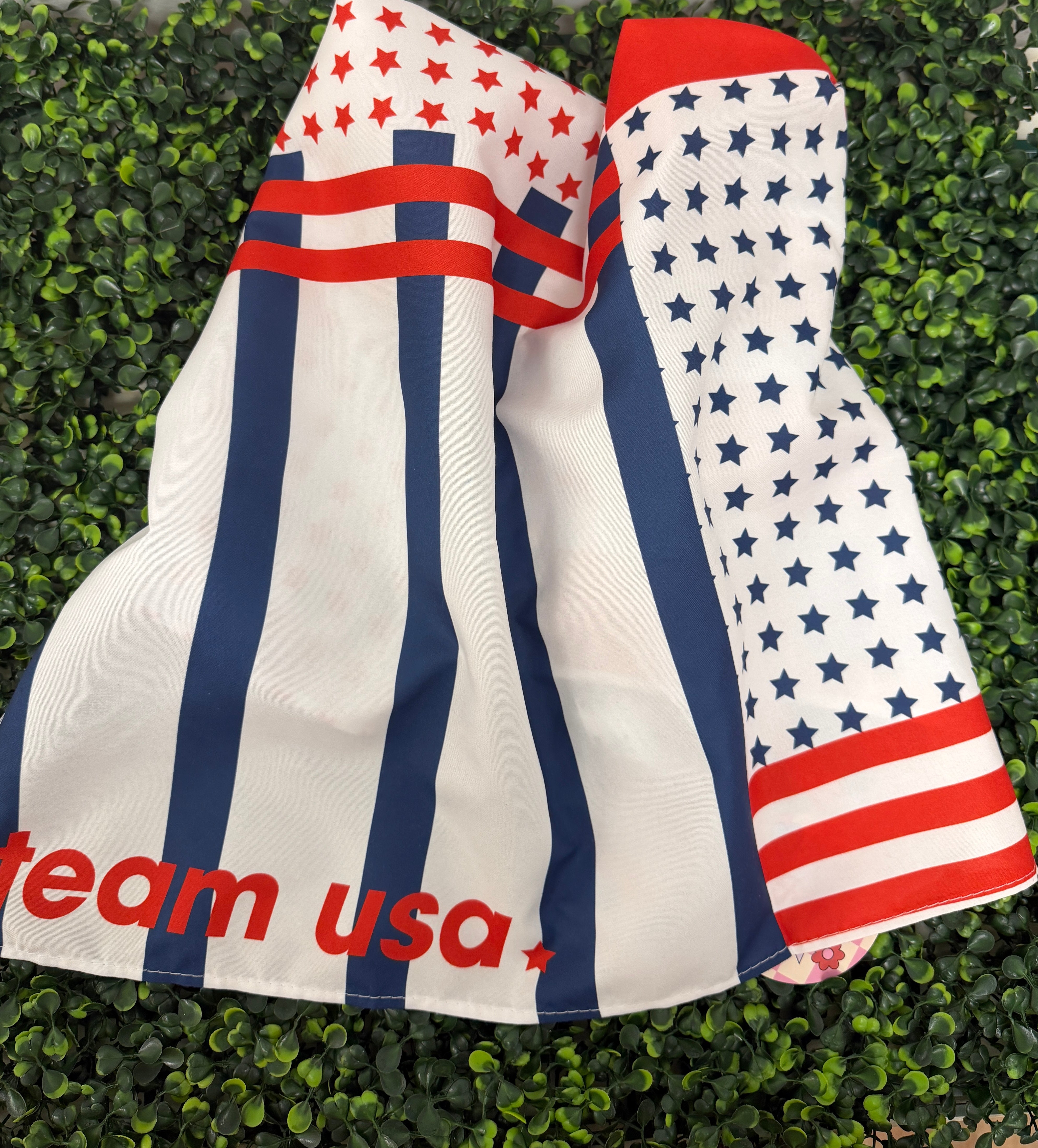 Team USA Bandana