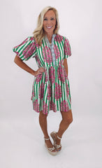 Garden Stripe Pop Dress (green)