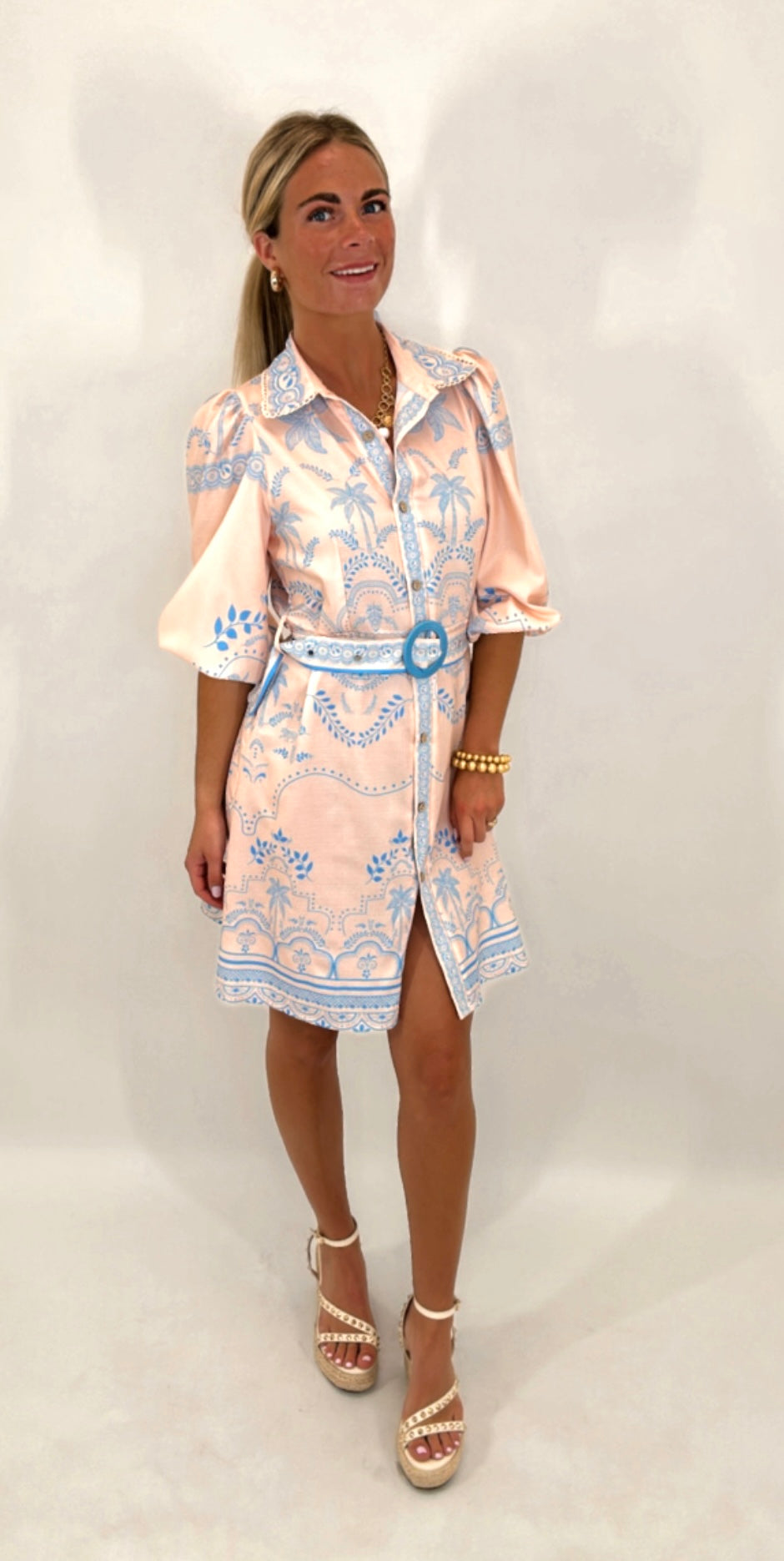Biltmore Dress (blue)