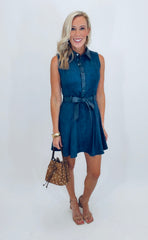 Sure Thing Dress (navy)