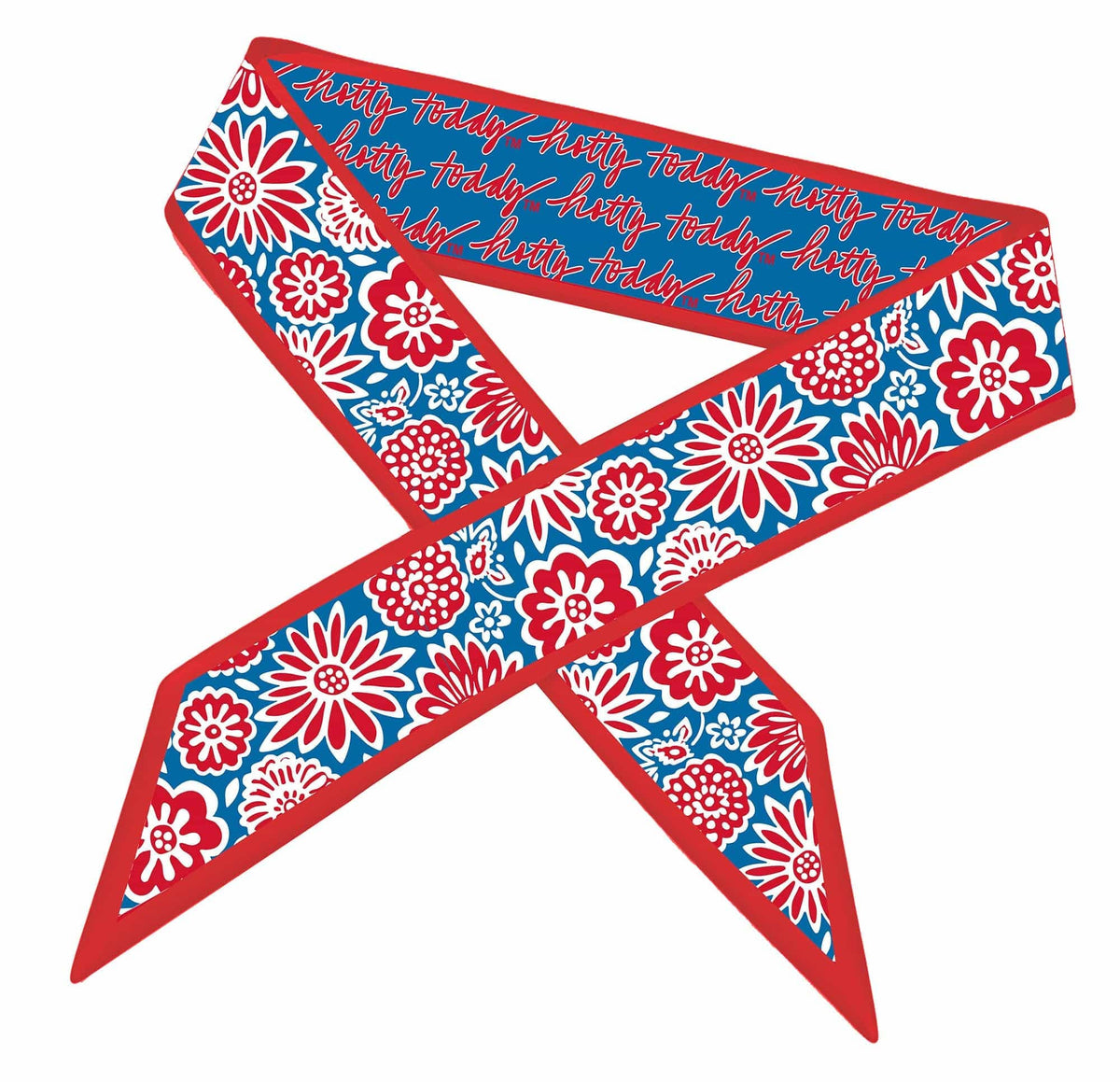 Ole Miss Skinny Scarf