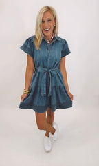 Chambray Charm Dress