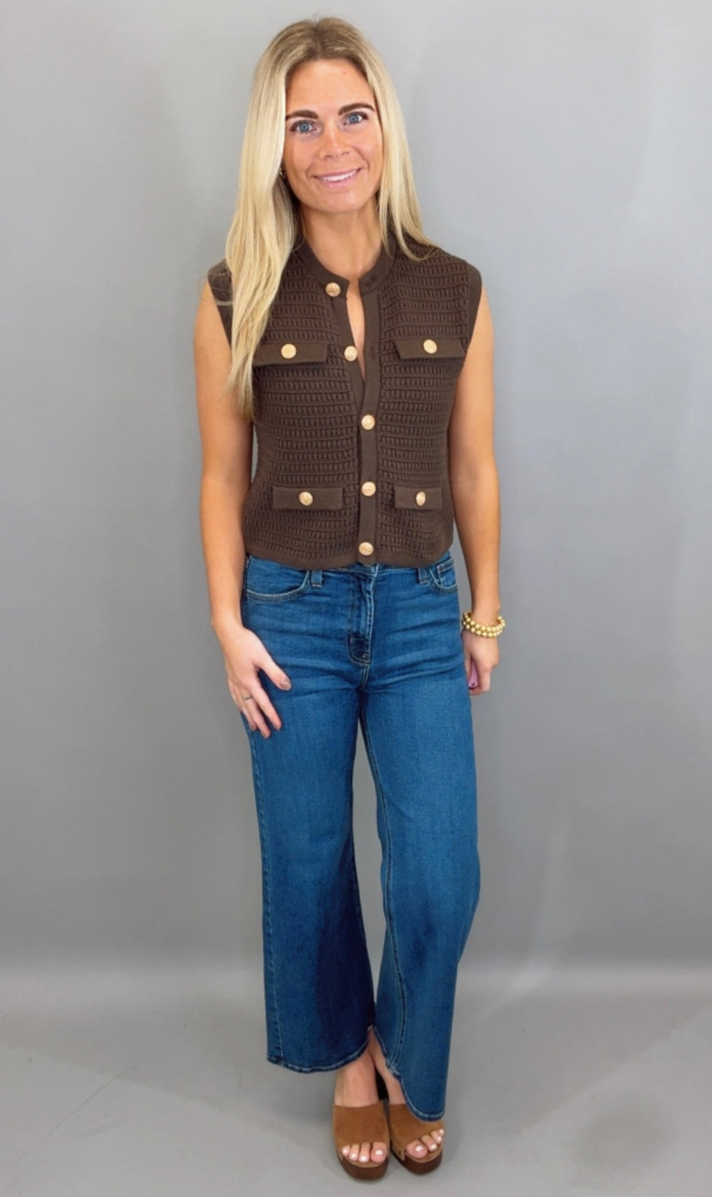 Park Avenue Knit Vest (brown)