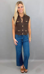 Park Avenue Knit Vest (brown)
