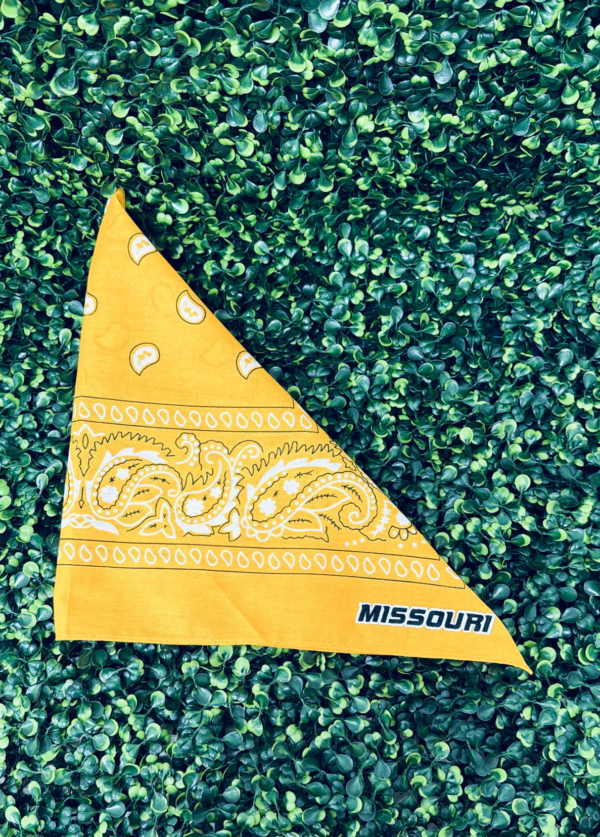 Mizzou Bandana