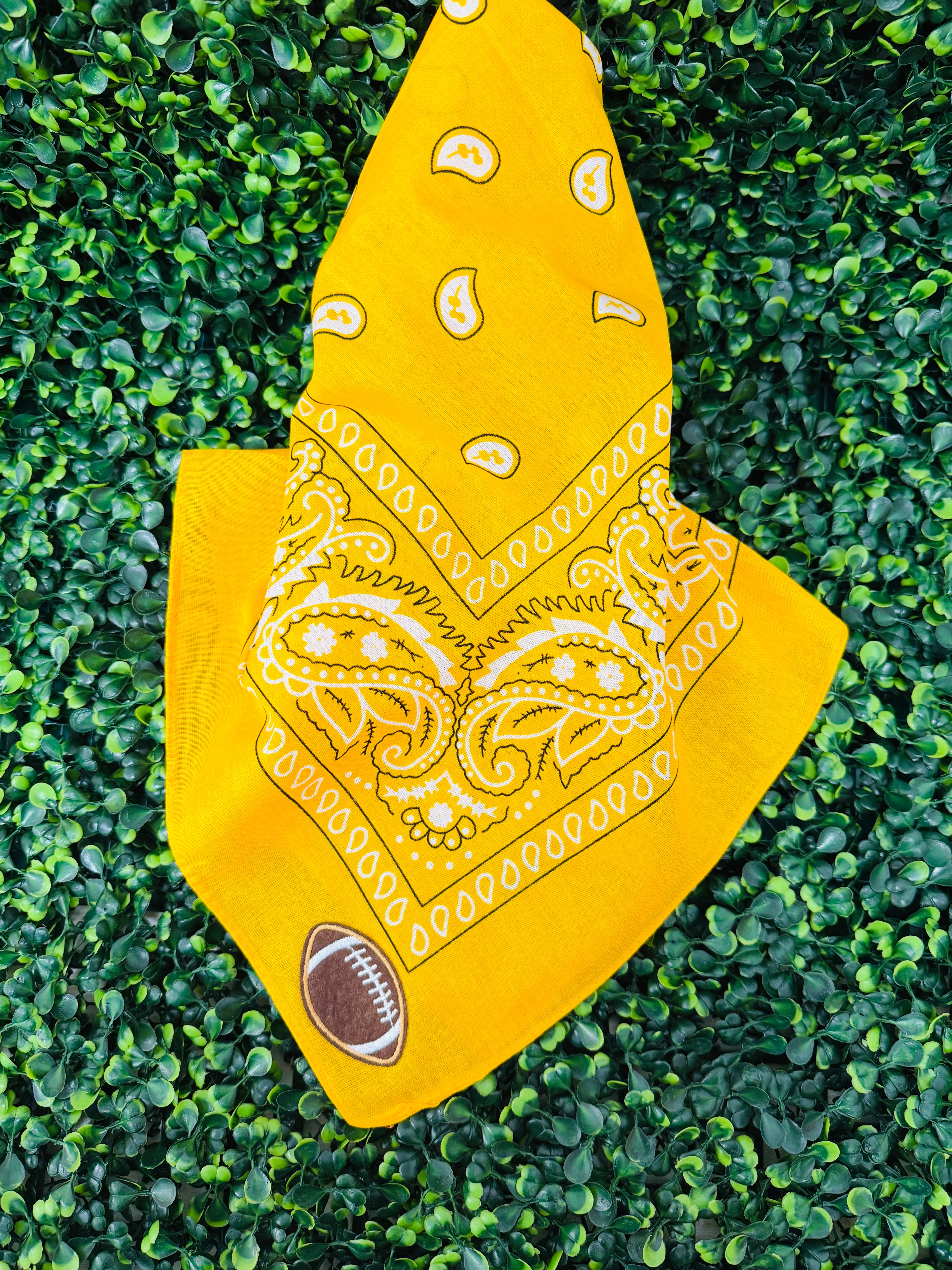 Mizzou Bandana