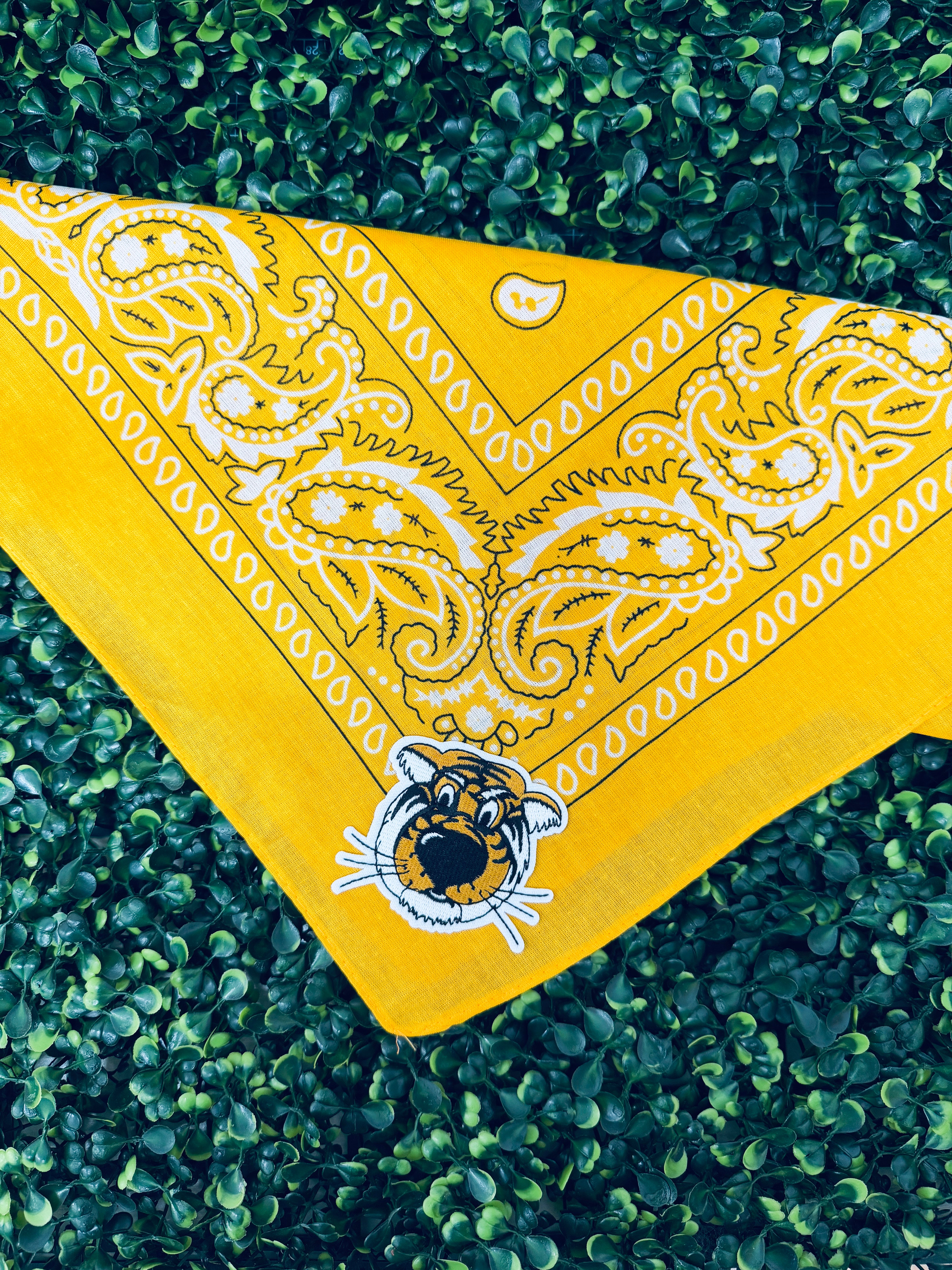 Mizzou Bandana