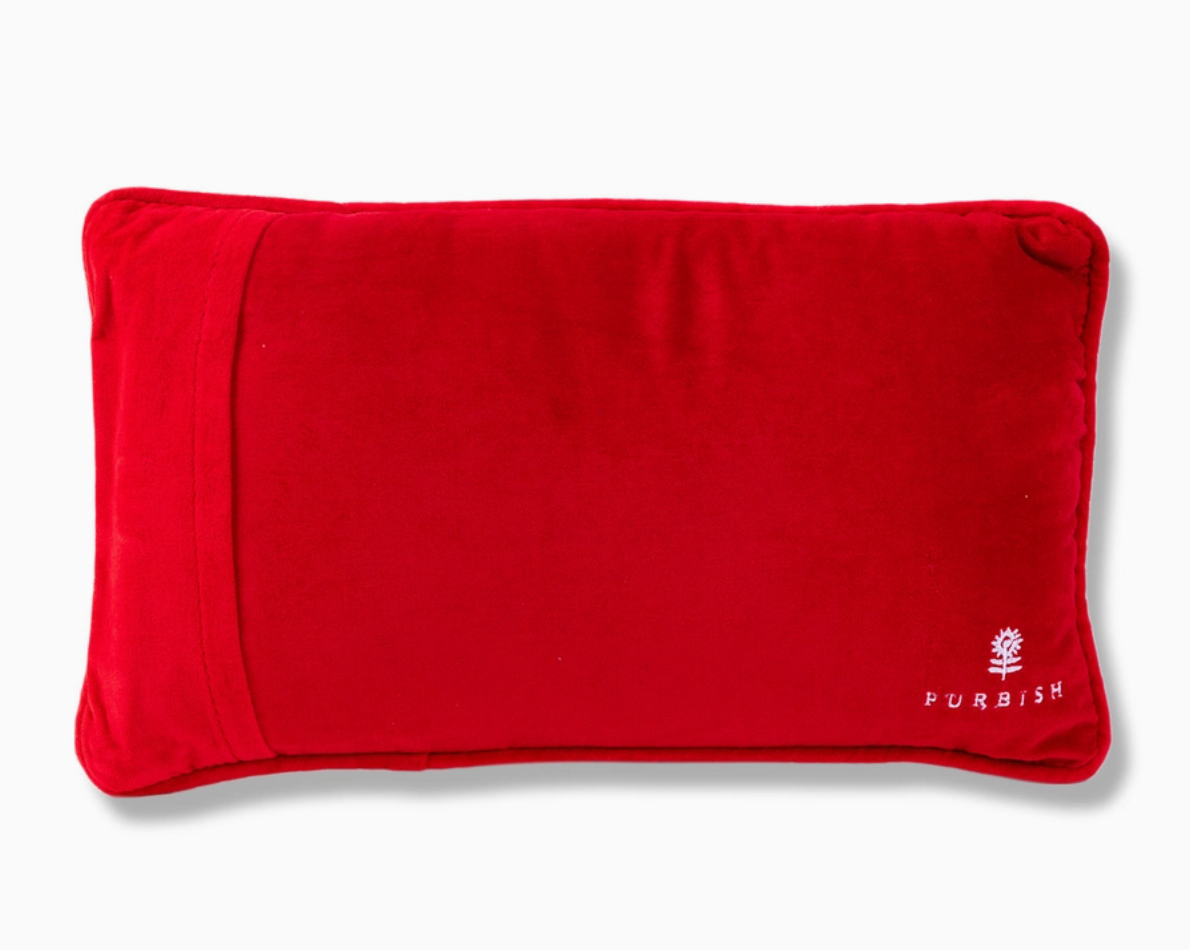 Control Freak Pillow