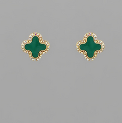 Green Clover Stud