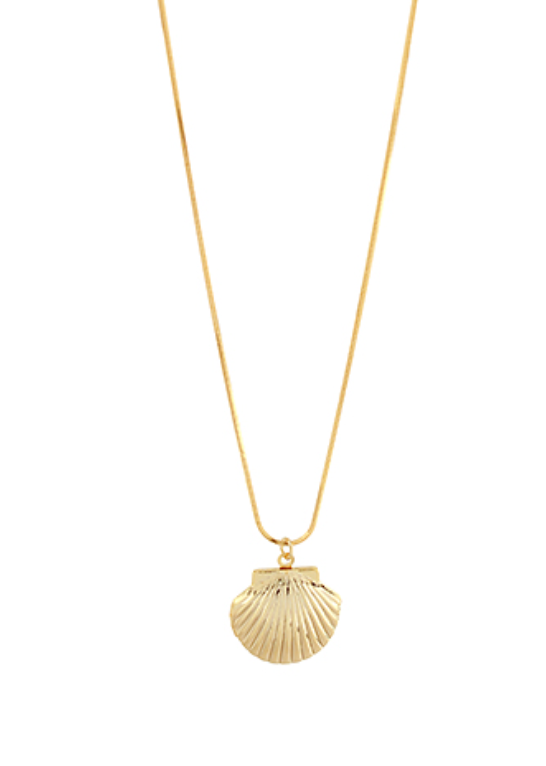 Shell Locket Necklace