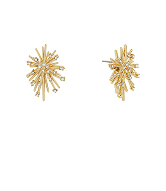 Stardust Burst Earring ✨