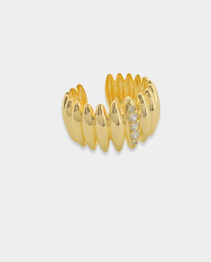Sculpted Shine Ring