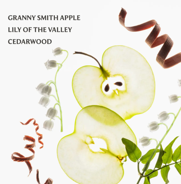 Applelicious Hydrating Hand Santizer