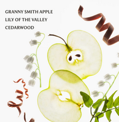 Applelicious Hydrating Hand Santizer