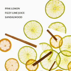 Lemon Lime Hydrating Hand Sanitizer