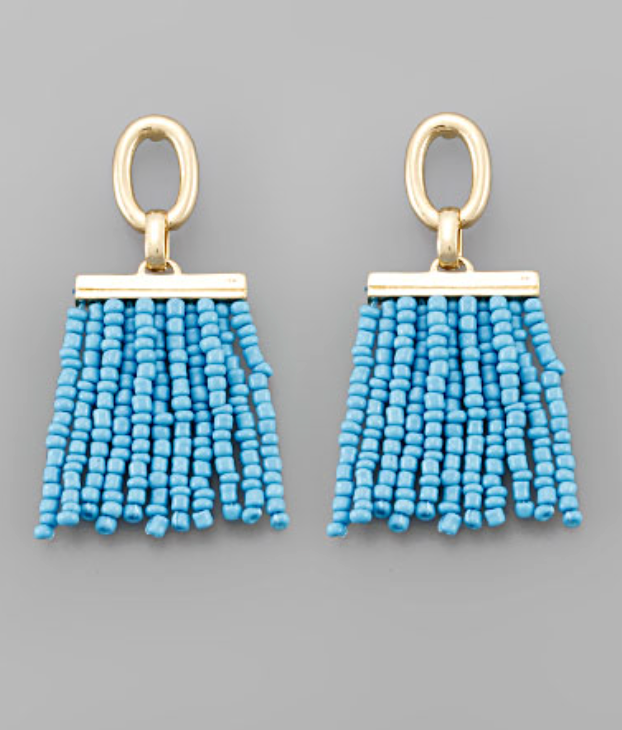 Chic Cascade Fringe Earring