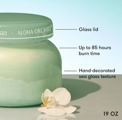 Luce d'Amalfi Aloha Orchid Signature Candle