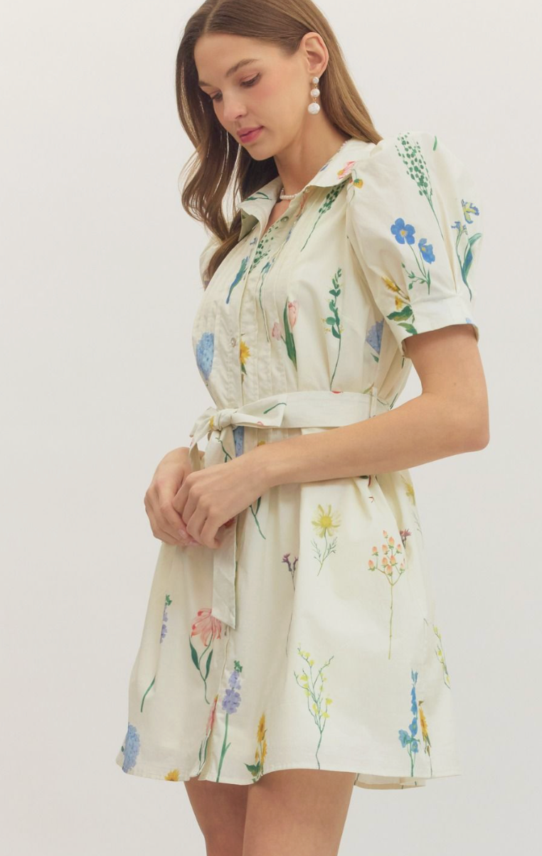 Petal Theory Dress
