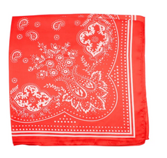 Americana Paisley Scarf