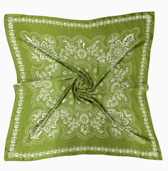 Pretty in Paisley Scarf