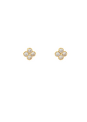 Clover Crush Stud