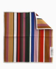Little Wings/Sedona Stripe: Hand Towel/Washcloth Set