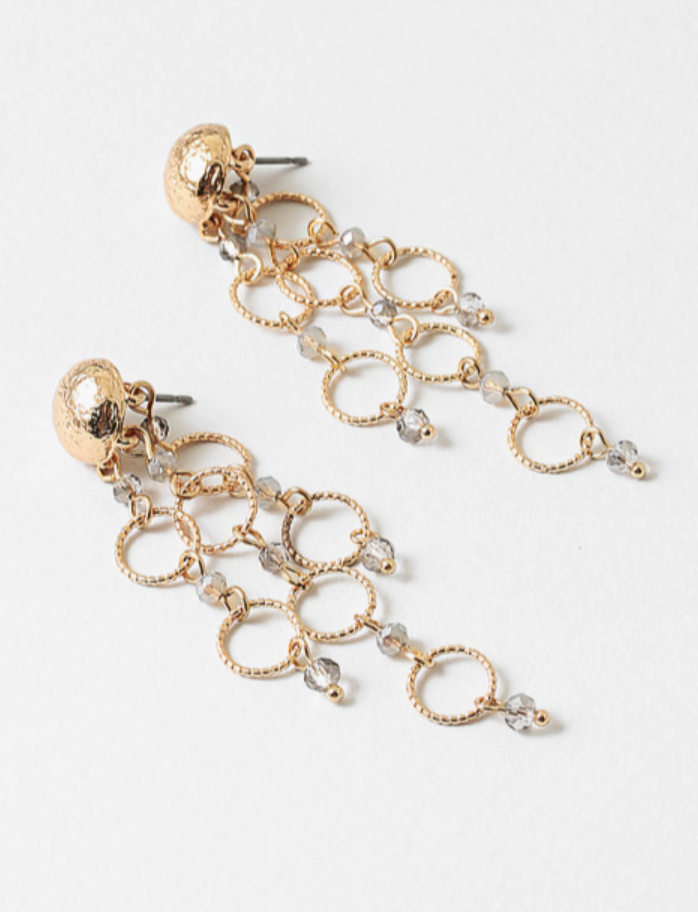 Delicate Details Earring