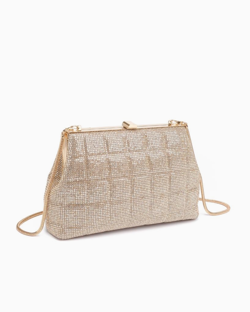 Roxy Evening Bag