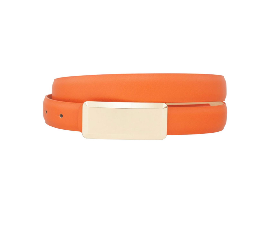 Gold Bar Belt