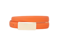 Gold Bar Belt