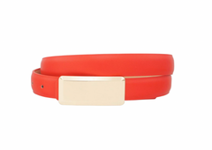 Gold Bar Belt