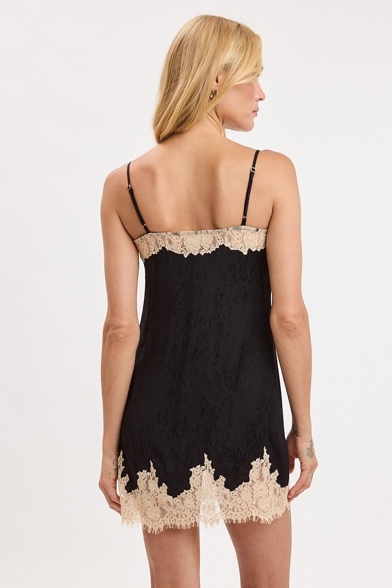 Delicate Situation Dress