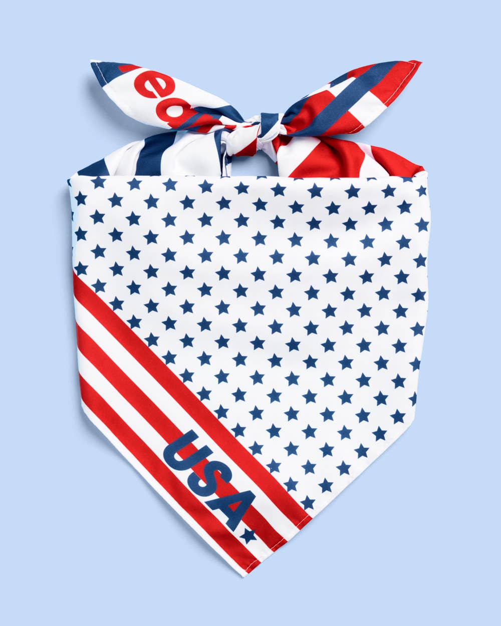 Team USA Bandana