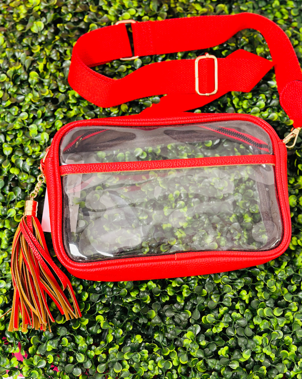 Clear Rectangle Crossbody Bag (red)